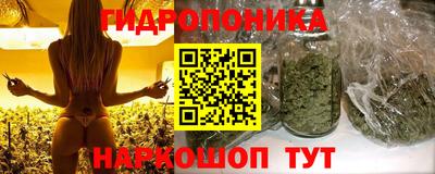 дмт Нарткала