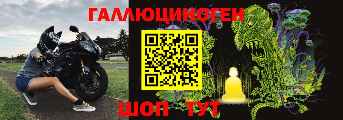 наркошоп  Галлюциногенные грибы Magic Shrooms  Вход с VPN  Новочебоксарск  Псилоцибиновые грибы Psilocybe 